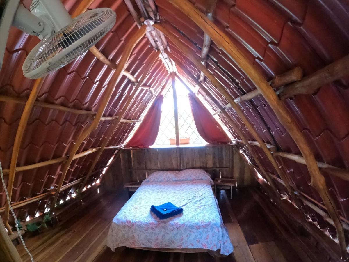 Tree House Samanea Lodge Puerto Limon Zewnętrze zdjęcie
