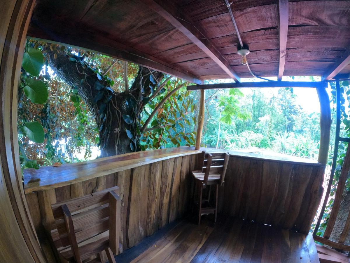 Tree House Samanea Lodge Puerto Limon Zewnętrze zdjęcie