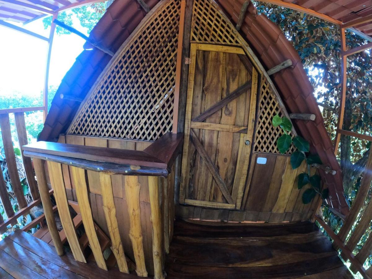 Tree House Samanea Lodge Puerto Limon Zewnętrze zdjęcie