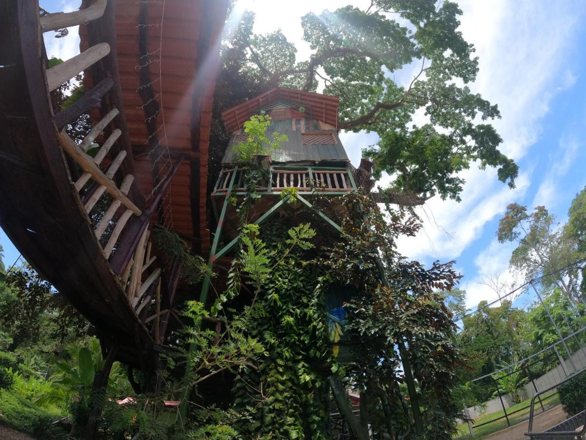 Tree House Samanea Lodge Puerto Limon Zewnętrze zdjęcie