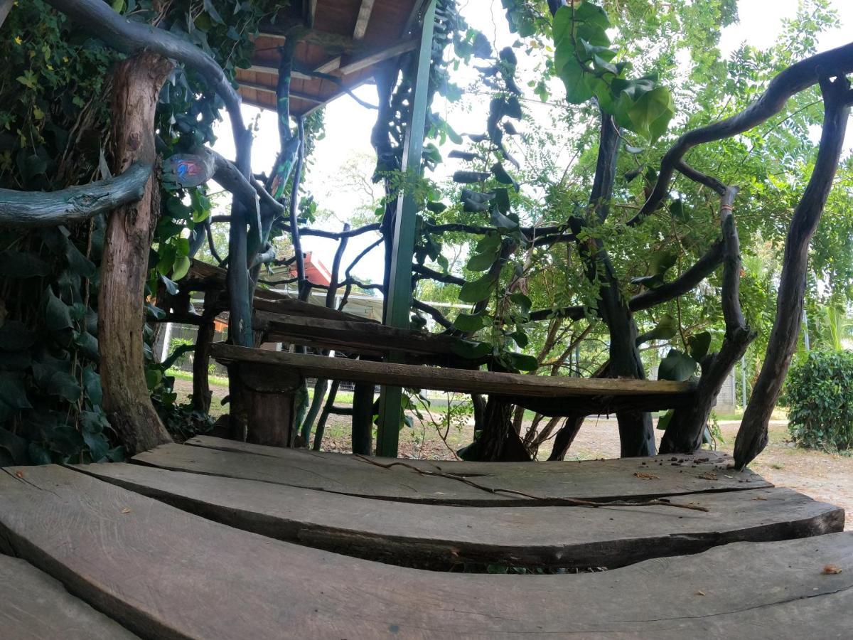 Tree House Samanea Lodge Puerto Limon Zewnętrze zdjęcie