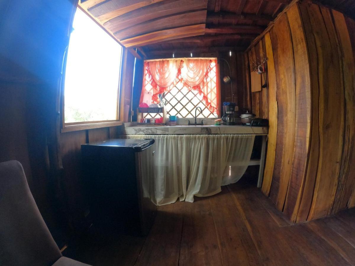 Tree House Samanea Lodge Puerto Limon Zewnętrze zdjęcie