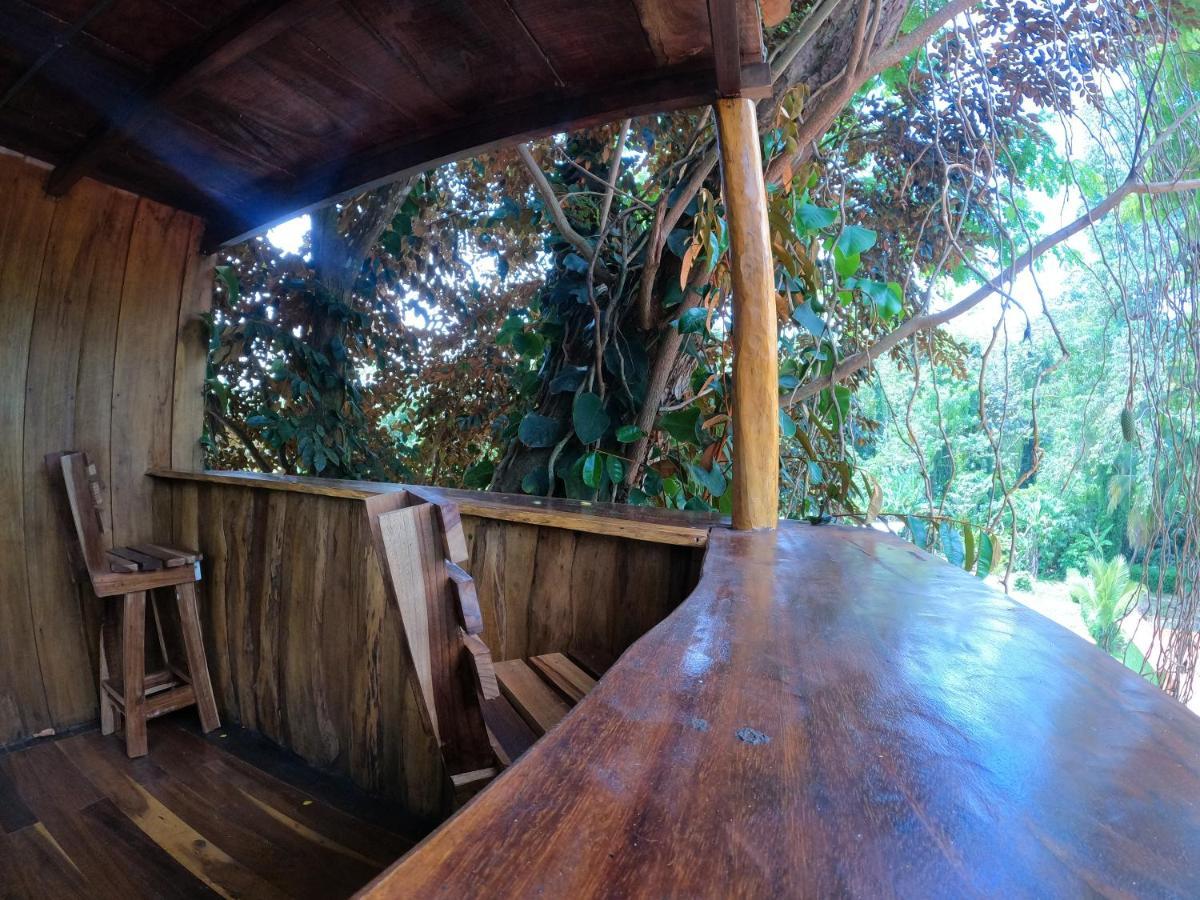 Tree House Samanea Lodge Puerto Limon Zewnętrze zdjęcie